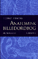 Anatomisk billedordbog 