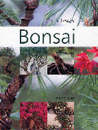 Bonsai