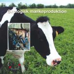Økologisk mælkeproduktion