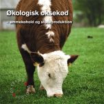 Økologisk oksekød