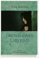 Drømmenes labyrint 