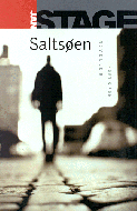 Saltsøen