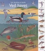 Lær dyrelivet at kende - Ved havet