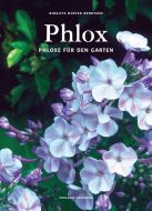 Phlox