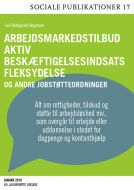 Arbejdsmarkedstilbud, aktiv beskæftigelsesindsats