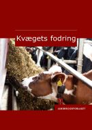 Kvægets fodring