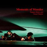 Moments of Wonder