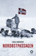 Nordøstpassagen