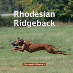 Rhodesian Ridgeback