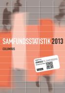 Samfundsstatistik 2013