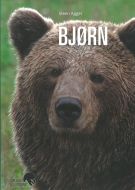 Bjørn