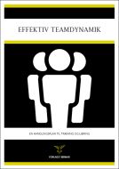 Effektiv teamdynamik