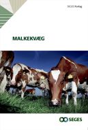 Malkekvæg