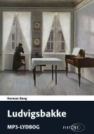 Ludvigsbakke