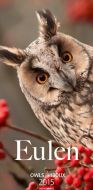 Eulen - Owls Calendar 2015