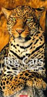 Big Cats Calendar 2015