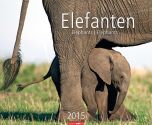 Elefanten - Elephants Calendar 2015