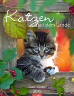 Katzen auf dem Lande - Cats Calendar 2015