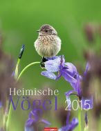 Heimische Vögel - Birds Calendar 2015