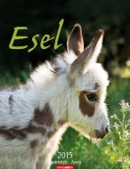 Esel - Donkeys Calendar 2015