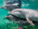 Wale und Delfine - Whales and Dolphins Calendar 2015