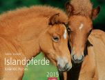 Islandspferde - Icelandic Horses Calendar 2015