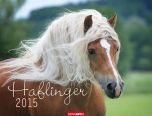 Haflinger Calendar 2015