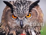 Eulen - Owls Calendar 2015