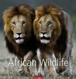 African Wildlife