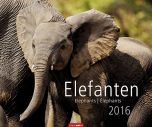 Elefanten - Elephants