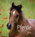 Pferde - Horses