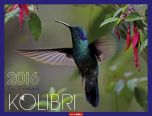 Kolibri - Hummingbird 2016