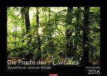 Die Pracht des Waldes - The Splendor of the Woods 2016