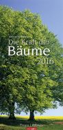 Die Kraft der Bäume - Trees 2016