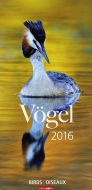 Vögel - Birds 2016