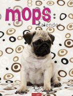 Mops Kalender 2016