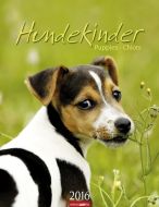 Hundekinder - Puppies 2016