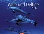 Wale und Delfine - Whales and Dolphins 2016