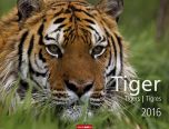 Tiger - Tigers 2016