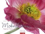 Mohnblumen - Poppies 2016