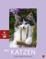 3D Katzen 2016