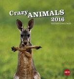 Crazy Animals Postkartenkalender 2016