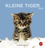 Katzen Postkartenkalender 2016