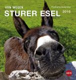 Esel Postkartenkalender 2016