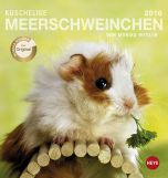 Meerschweinchen Postkartenkalender 2016