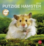 Hamster Postkartenkalender 2016