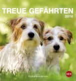 Hunde Postkartenkalender 2016