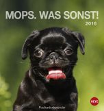 Mops Postkartenkalender 2016