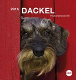 Dackel Postkartenkalender 2016