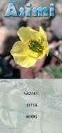 Naasut / Urter / Herbs